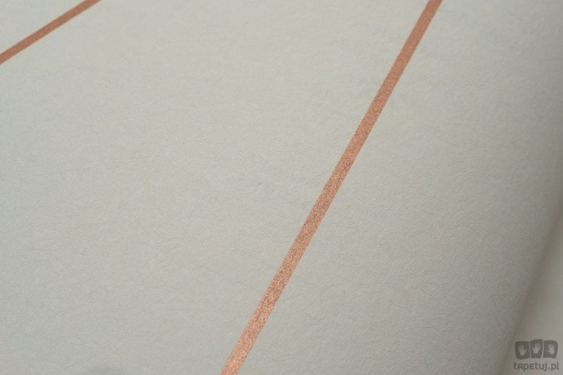 Biała tapeta z geometrycznym linearnym złotym akcentem