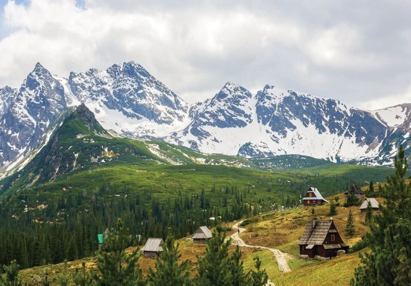 Fototapeta Hala Gąsienicowa Tatry 10507