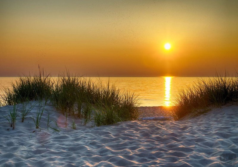 Fototapeta Plaża 11577