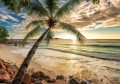 Fototapeta Plaża 11732