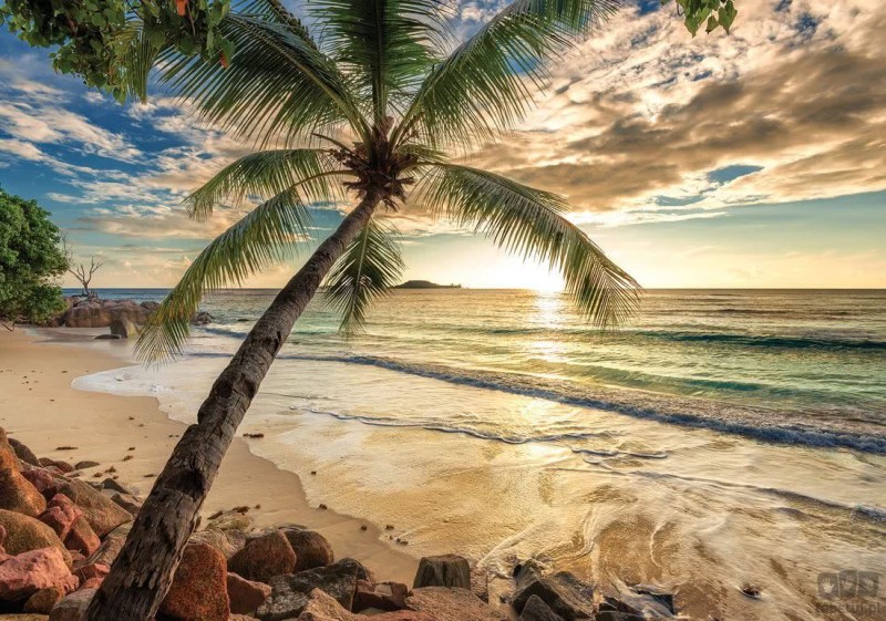 Fototapeta Plaża 11732