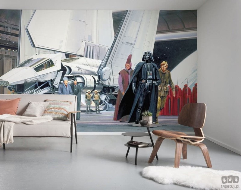 Fototapeta Star Wars Classic RMQ Death Star Shuttle Dock