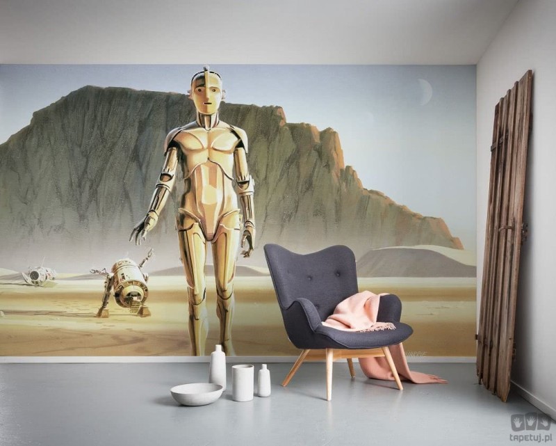 Fototapeta Star Wars Classic RMQ Droids DX10-051