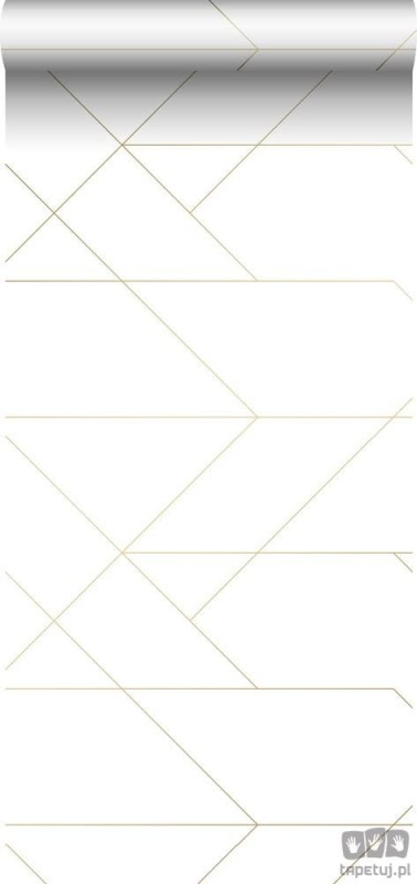 Biała tapeta na flizelinie geometryczna w złote linie