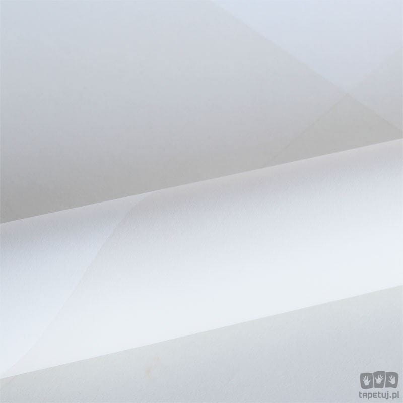 Hide&Seek 347495 tapeta ścienna Origin
