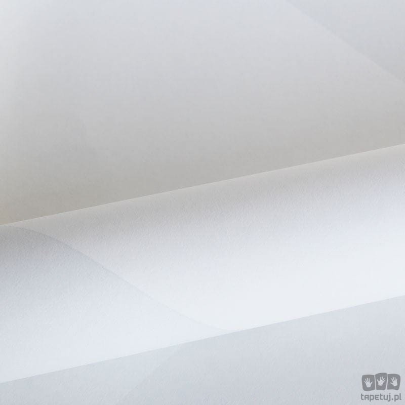 Hide&Seek 347496 tapeta ścienna Origin