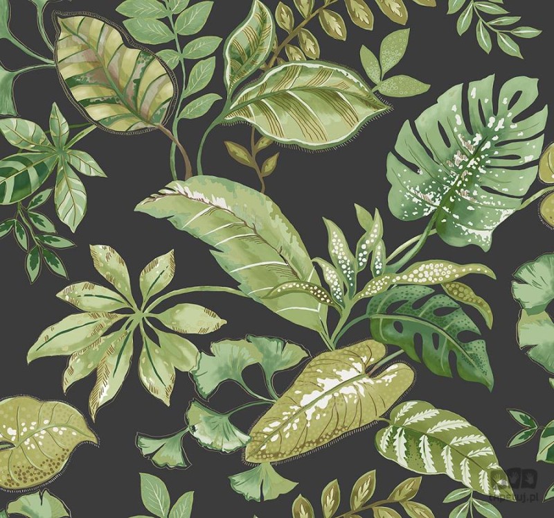 Woodlands JB21900 tapeta ścienna Wallquest
