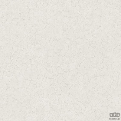 TEXTURE FX G78121 tapeta ścienna Galerie