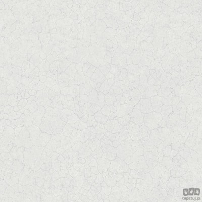 TEXTURE FX G78126 tapeta ścienna Galerie