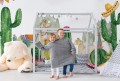 Fototapeta lamy i kaktusy - klimat meksykański 3