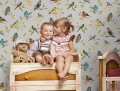 Fototapeta kolorowe ptaki na gałęzi 22