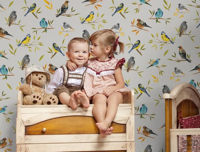 Fototapeta kolorowe ptaki na gałęzi 22