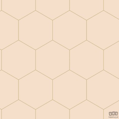 Różowa tapeta na flizelinie geometryczna art deco