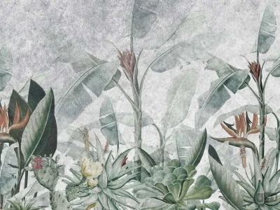 Fototapeta Rainforest