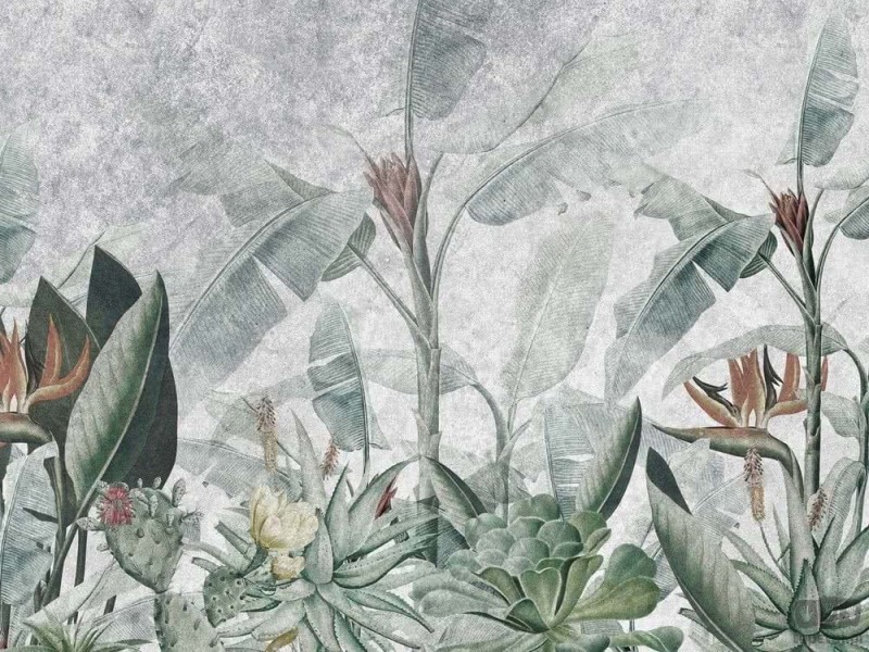 Fototapeta Rainforest