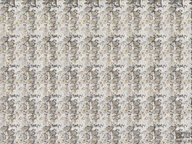 Fototapeta Liseron Gold