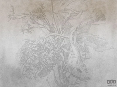 Fototapeta Grey Ombre Flower