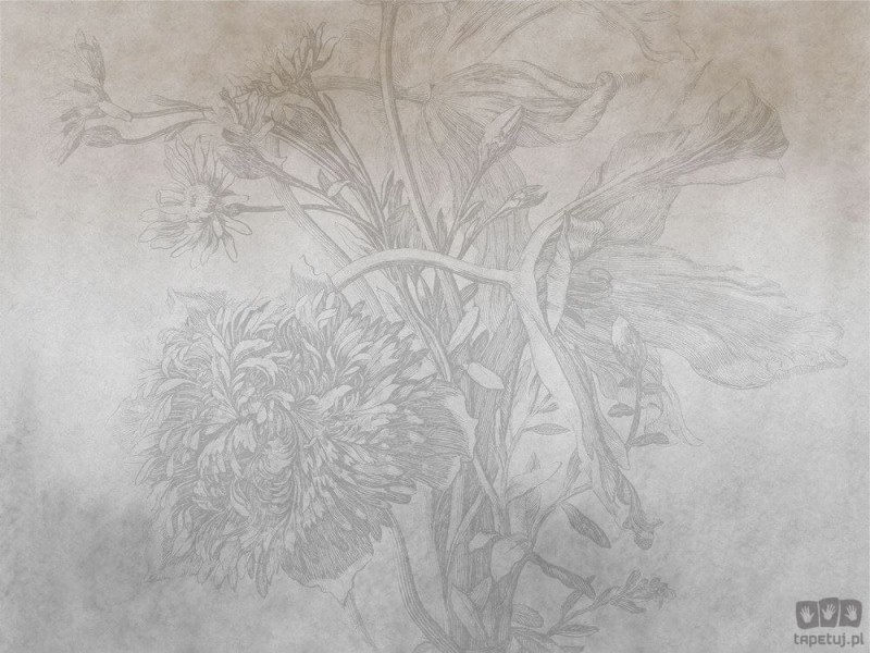 Fototapeta Grey Ombre Flower