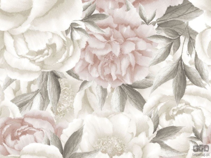 Fototapeta Peony light Big