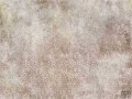 Fototapeta Temptation Rust