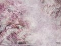 Fototapeta Sanctuary Pink