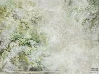 Fototapeta Sanctuary Green