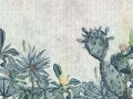 Fototapeta Succulento
