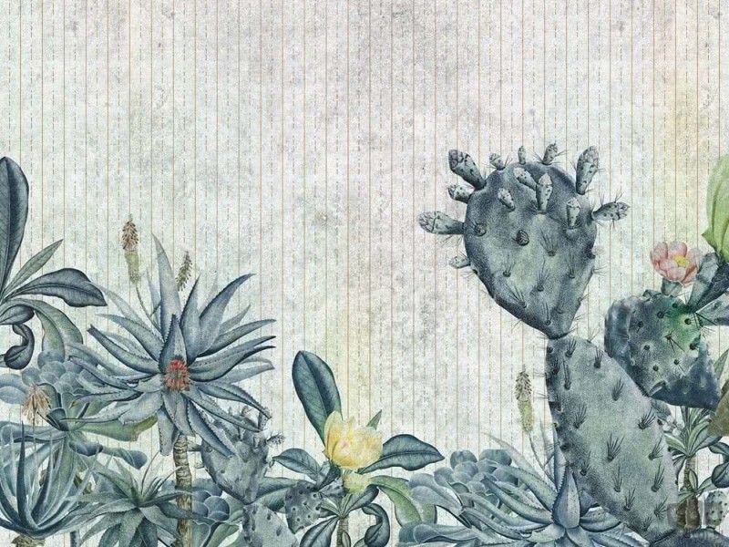 Fototapeta Succulento