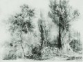 Fototapeta Calm Green
