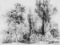 Fototapeta Calm Black and White