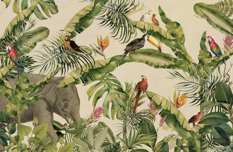 Fototapeta Jungle