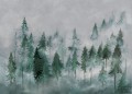 Fototapeta Nebbia