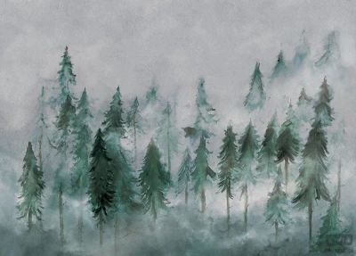 Fototapeta Nebbia