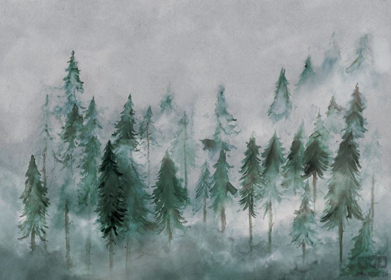 Fototapeta Nebbia