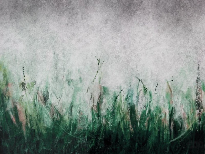 Fototapeta Tosca Green