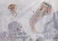 Fototapeta Water Life