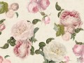 Fototapeta Roses cream