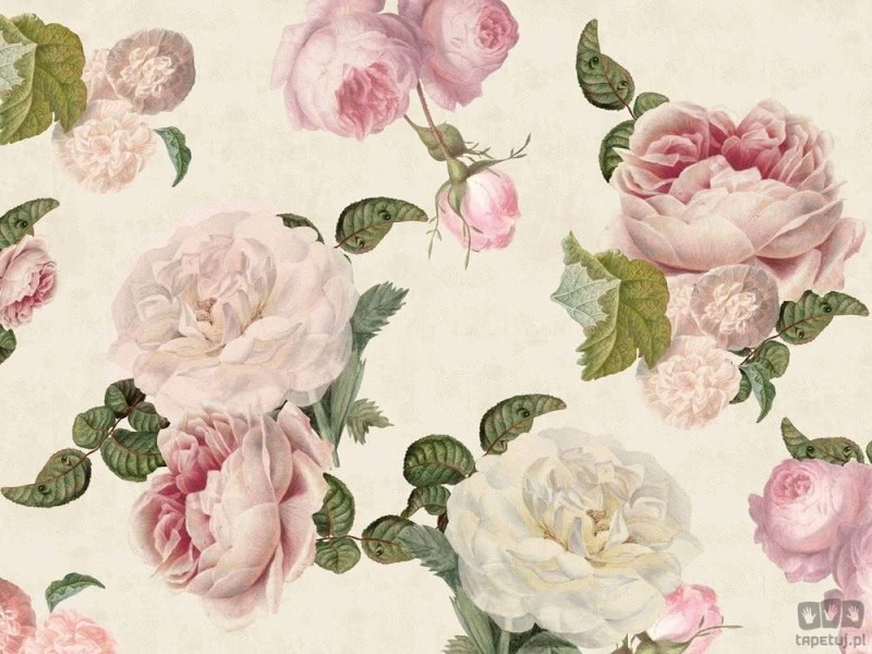 Fototapeta Roses cream