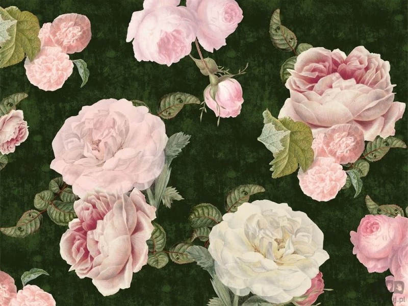 Fototapeta Roses Dark Green