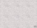 Fototapeta Sakura light grey