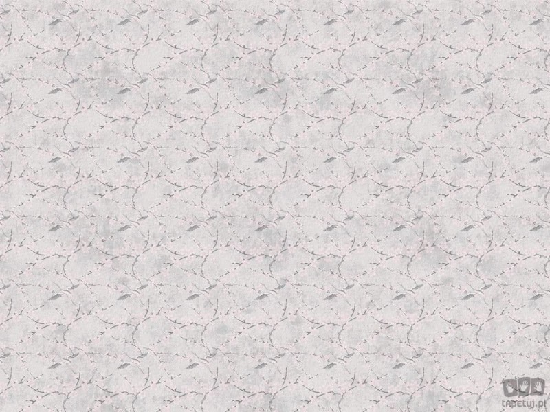 Fototapeta Sakura light grey
