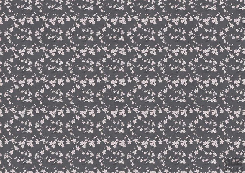 Fototapeta Sakura dark