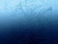 Fototapeta Blue Ombre Flower