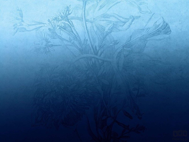 Fototapeta Blue Ombre Flower