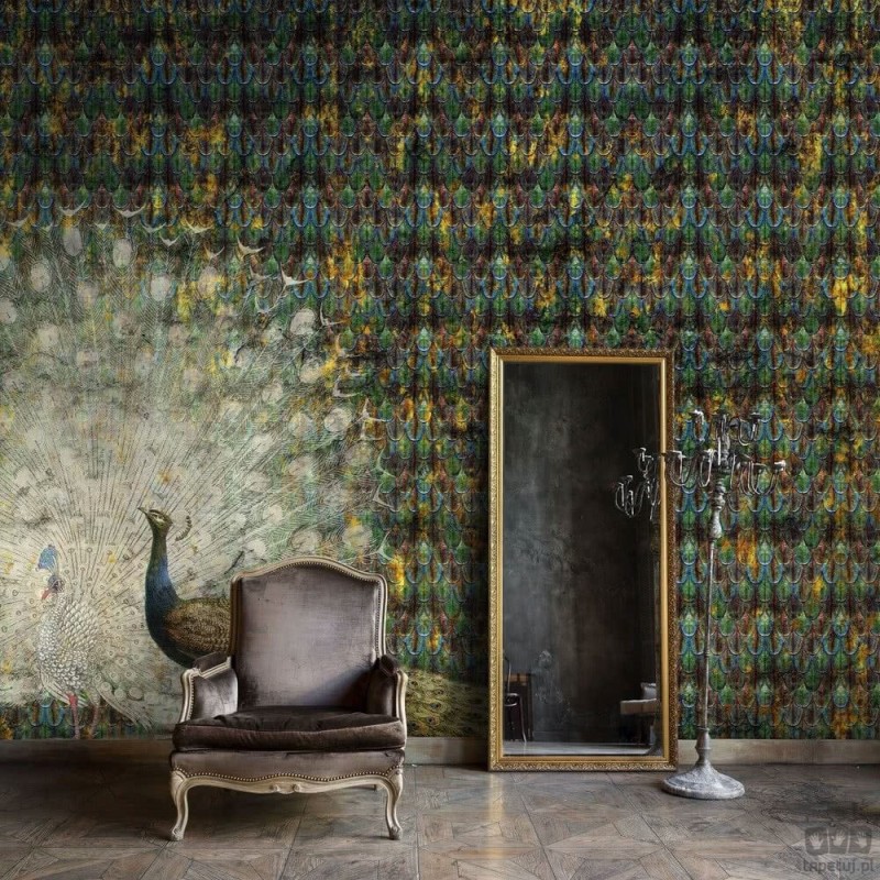 Fototapeta Peacock