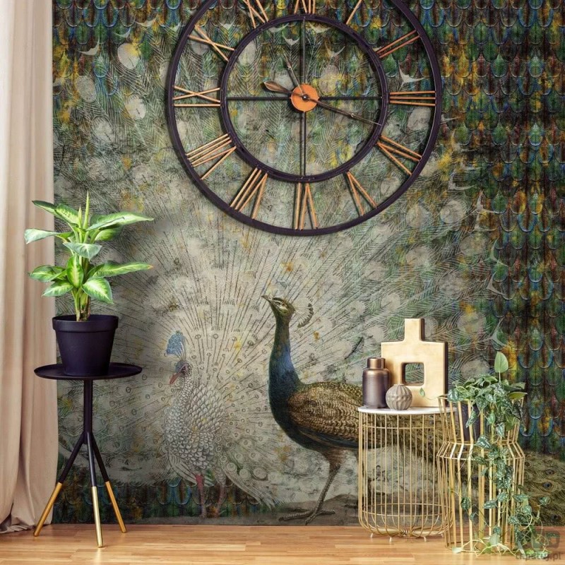 Fototapeta Peacock