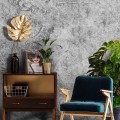 Fototapeta Classic Dark Grey