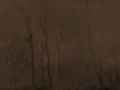Fototapeta Foggy Evening