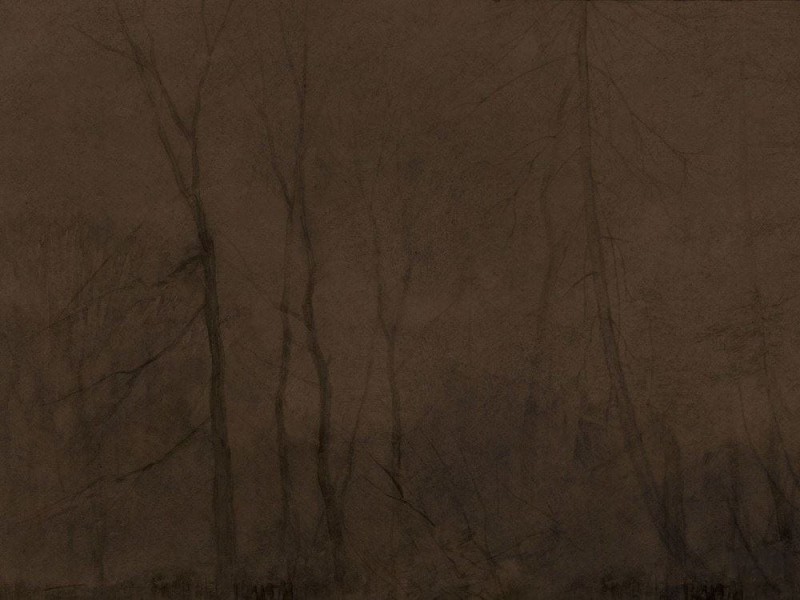 Fototapeta Foggy Evening