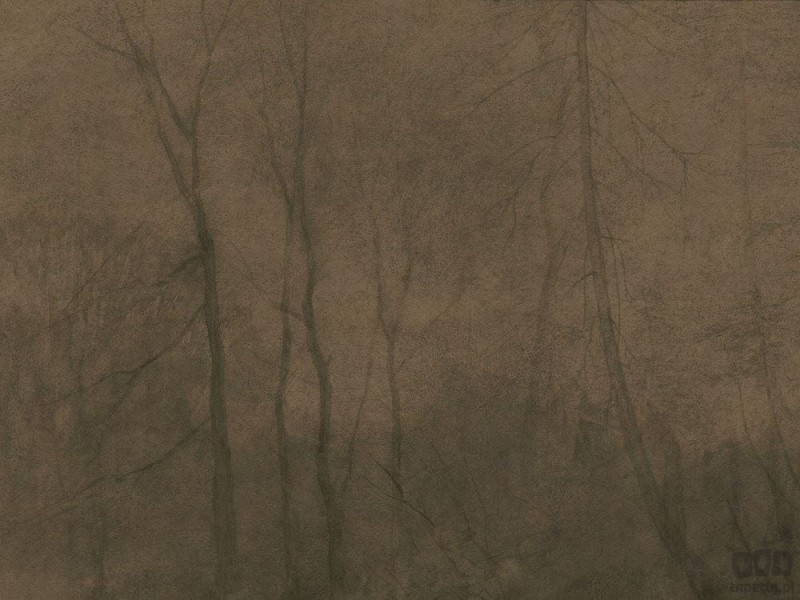 Fototapeta Foggy Morning